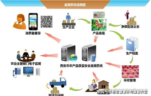 智慧農(nóng)業(yè)與電子商務技術(shù) 推動農(nóng)業(yè)現(xiàn)代化的雙引擎
